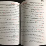 شرح الأحاديث القدسية محمود المصري